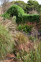 View over ornamental grasses to hedge with arch 