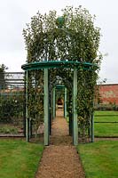 Gazebo with trained trees at intersection of paths in walled garden