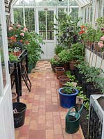 A tidy greenhouse with brick flooring. Potted plants and bedded out plants in rows.