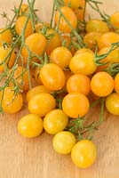 Solanum lycopersicum  'Ildi' - Yellow Cherry Plum Tomato - syn. Lycopersicon esculentum, picked fruit on table