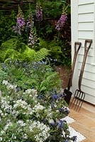 Garden spade and fork against shed with border of Foxgloves, Ferns and Hebe - RHS Chelsea Flower Show