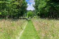 Looking down the pathway through the wildflower meadow towards the living willow arch and bench in the parkland beyond. Plants include knapweed - Centaurea nigra and field scabious - Knautia arvensis