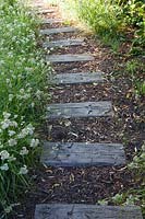 Pathway with decorative wooden sleepers and Luzula nivea