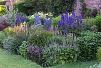 Tall spires of delphiniums rise above clumps of herbaceous perennials in border. Arley Hall, Cheshire, UK.