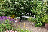A seating area with metal bench between fragrant Philadelphus and Choisya shrubs.