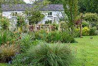 The 1840s cottage glimpsed over island beds planted with Verbascums, Monardas, Echiums, Daylilies, Fiascias and ornamental grasses.