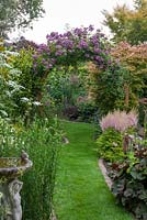 A grassy path leads past bog garden and beneath an arch clad in Rosa 'Veilchenblau' framing view of herbaceous borders, and flanked by acers.