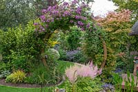 Seen over clump of pink astilbes, an arch clad in Rosa 'Veilchenblau' frames view of herbaceous borders. To right,  Acer palmatum 'Shin-deshojo'