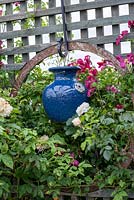A porthole cut into a trellis divider is filled with a blue ceramic vase amidst Clematis 'Madame Julia Correvin' and roses.
