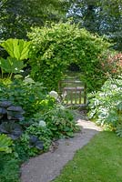View down path to hand built wooden gate with arch of Lonicera - honeysuckle. Bed with Darmera peltata AGM - Umbrella plant, Ligularia, Hydrangea and Gunnera.