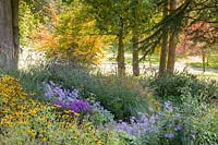 A late-flowering herbaceous border along The Old Drive at Dorothy Clive Garden, Willoughbridge, Staffordshire. Planting includes Rudbeckias, Verbena Bonariensis and Michaelmas daisies - Aster