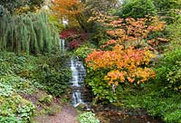 A waterfall in the Quarry Garden at Dorothy Clive Garden, Willoughbridge, Staffordshire. Planting includes: Rodgersia, ferns, Azaleas and Acers
