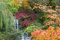 A waterfall in the Quarry Garden at Dorothy Clive Garden, Willoughbridge, Staffordshire. Planting includes: ferns, Azaleas and Acers