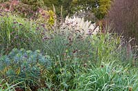 A late-flowering herbaceous border at Dorothy Clive Garden, Willoughbridge, Staffordshire, U.K. Planting includes: Knautias, Echinops, Euphorbias and Verbena bonariensis
