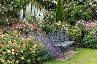 Rosa 'Roald Dahl', 'Olivia Rose Austin' and 'The Lady Gardener' in The David Austin Rose Gardens - The Lion Garden