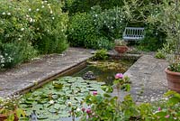 Formal pool filled with water lilies, and surrounded by white roses and erigeron.