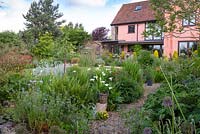 A country garden in early summer with mixed borders of flowering perennials, ornamental grasses and ferns.