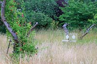 Wild meadow area in former orchard, Rosa - Climbing Rose over an old fruit tree left deliberately to enhance the bird habitat