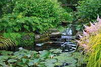 Stream linking upper and lower ponds, with Astible, Carex elata 'Aurea' and Nymphaea alba - waterlilies 

