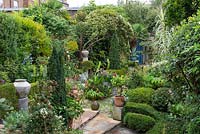 View over town garden. Path leads past structural evergreen plants, and borders or pots planted with seasonal perennials.
