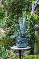 Agave americana planted in a vintage copper water cistern on a table