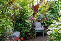 Chairs on a deck are surrounded by Anthurium, Hydrangeas, Agapanthus, Phlox, Ferns, Geraniums, Coneflowers and foliage of Bananas, Bamboos and Tetrapanax papyrifer.