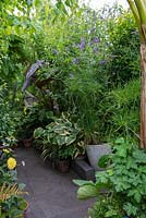 Edging a shady walkway are hostas, a buddleia and a potted Cyperus papyrus.