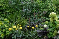 A border planted with Hydrangea paniculata, Dahlia 'Alva's Supreme', buddleia, fan palm, dark leaved Actaea and ornamental millet. 