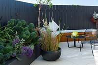 A round squat pot planted with Dwarf Papyrus, next to an outdoor table and chair in front of a bespoke timber bench seat.