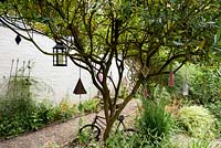 Glass bottles and other ornaments hang from bare branches of Pittosporum tobira in a cottage garden