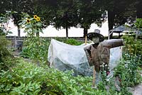 Metal scarecrow in the vegetable plot 