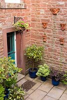 Ornamental wall pots on the red sandstone wall of Ivy House, Cumwhitton in July above shrubs including standard hollies outside the front door