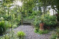 Shade garden with a wooden bench surrounded by plants including ferns.