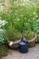 Traditional watering can in insect friendly garden setting