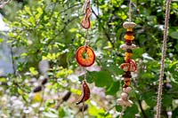 Dried fruit and nuts on string in wildlife friendly garden Springwatch Garden - Hampton Court Flower Show 2019 - designer, Jo Thompson 
