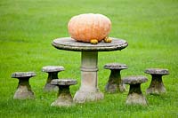 Harvested pumpkin displayed on table outside.