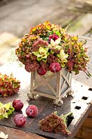 Autumnal arrangement with Hydrangea, Sedum and Erica and Plums