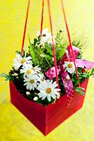 Daisies and panicum 'fountain'displayed in a hanging gift bag