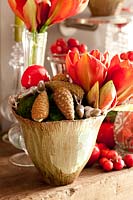 Red Amaryllis and pinecones in bowl as a table centrepiece