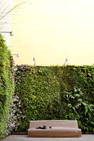 In the background the green wall is made with asparagus splengeri, polystichum polyblepharum, ophiopogon japonicus, saxifraga sarmentosa, helleborus niger, viola odorata.
