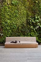 Modern, wooden bench set against living green wall in modern garden. 
