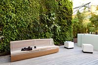 Modern, wooden bench set against living green wall in modern garden.