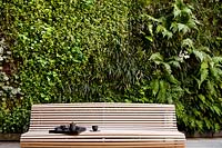 View of modern garden, with wooden bench set against living green wall.