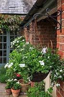 Hanging baskets on the patio feature white flowers, including petunias, Verbena and Bacopa cordata.