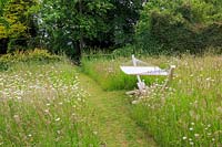 Freestanding hammock in wildflower meadow containing oxeye daisy - Leucanthemum vulgare and grasses.