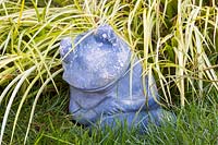 Pottery frog sits with hands crossed under variegated sedge Carex oshimensis 'Evergold'.