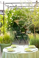 Terrace with outdoor dining table and seating area under pergola with climbing rose Rosa 'brise parfum'
