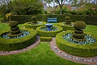 Box and Yew topiary quincunx with forget-me-not and Tulip 'White Triumphator' at Wyken Hall Garden, Suffolk.
