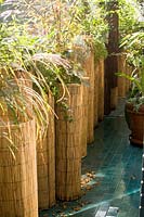 Planters surrounded with bamboo roll with miscanthus sinensis 'zebrinius'