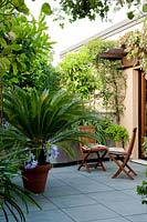 Paved roof terrace garden in summer 